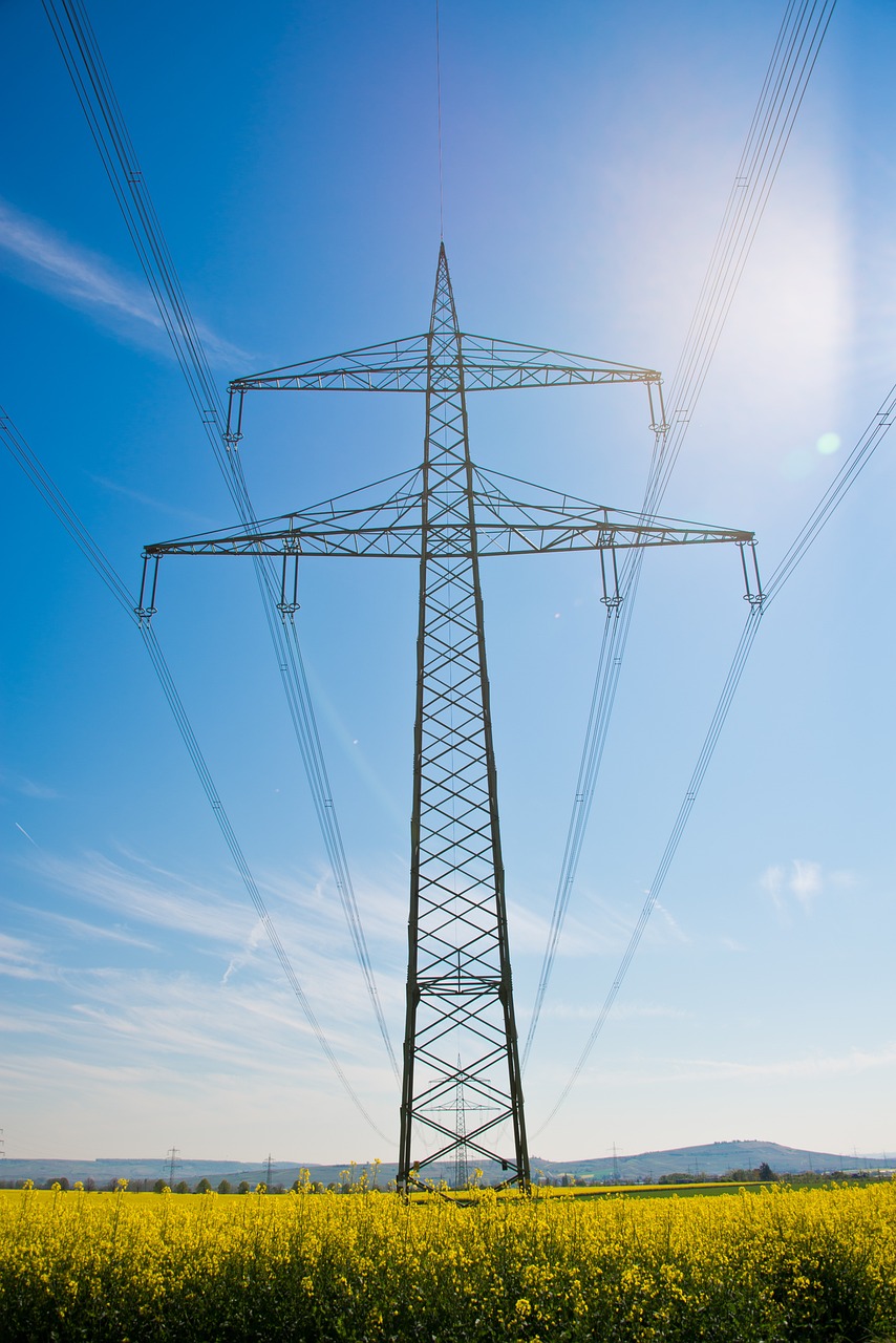 oilseed rape, power pole, field of rapeseeds-450155.jpg